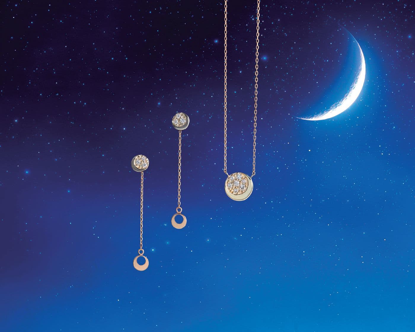 THE MOON/望月